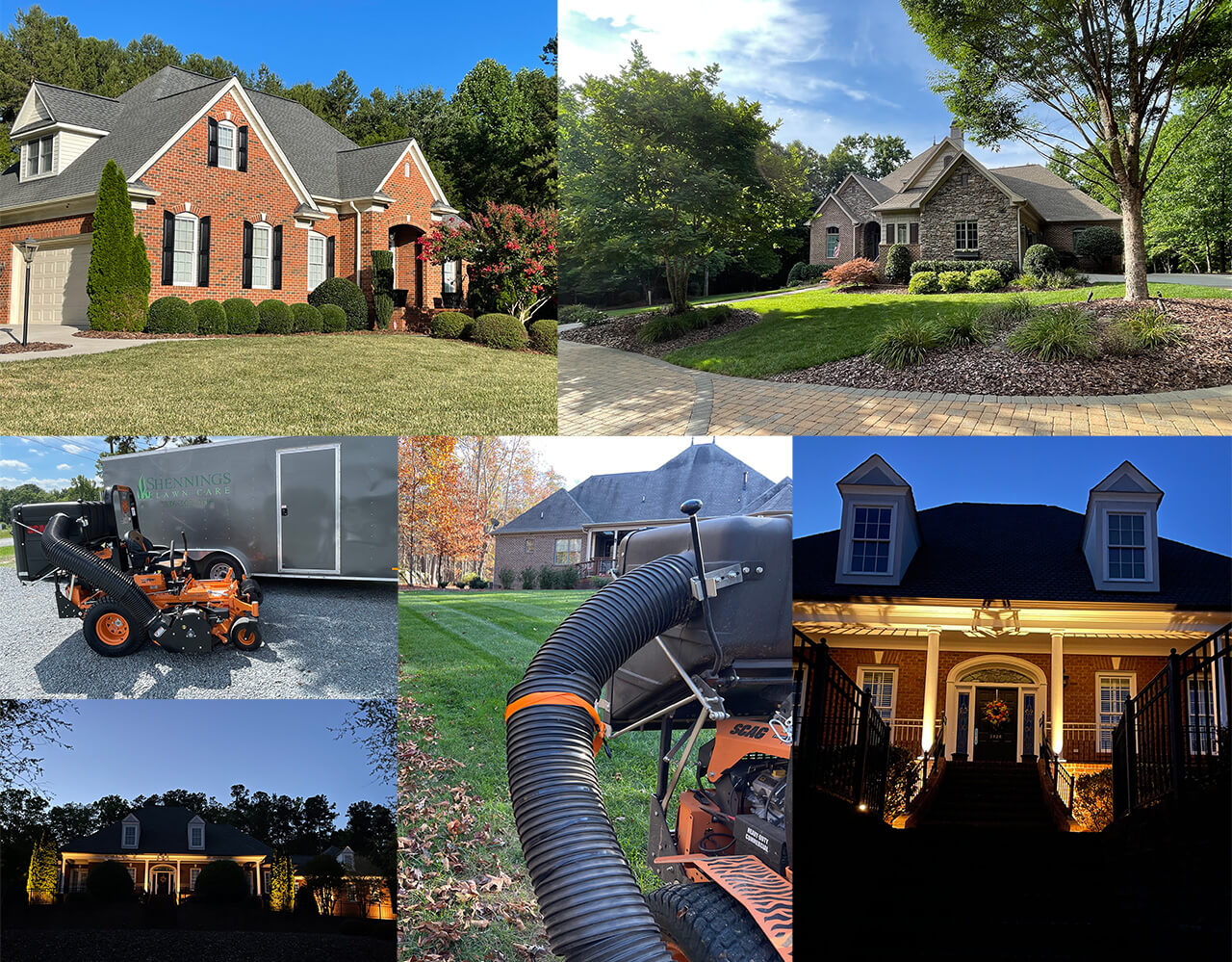 Collage of client lawns